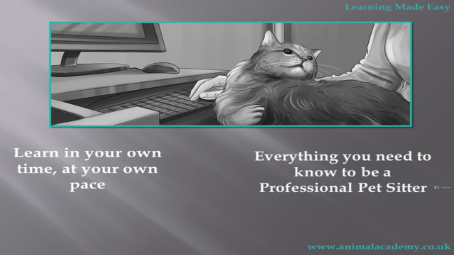 Professional Pet Sitting Diploma – Screenshot 4