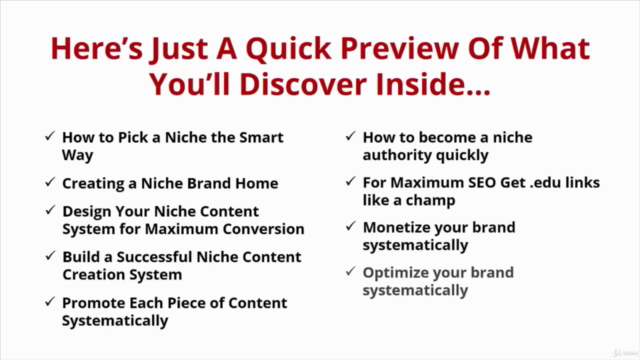 Niche Marketing Mastery - A Winning System! – Screenshot 3