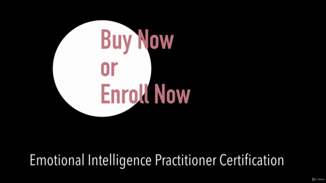Emotional Intelligence (EQ) Practitioner Cert (ACCREDITED) – Screenshot 4