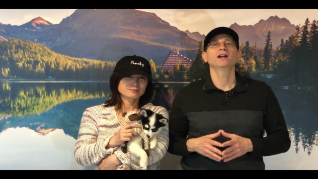 Pomsky Dog Care and Training Course – Screenshot 1