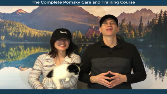 Pomsky Dog Care and Training Course – Screenshot 4