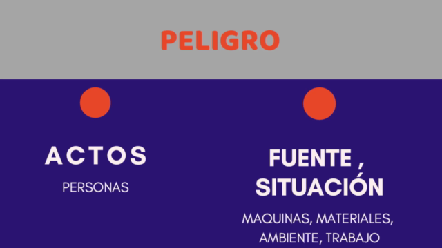 Inspecciones y Auditorias de Seguridad y Salud en el Trabajo – Screenshot 4
