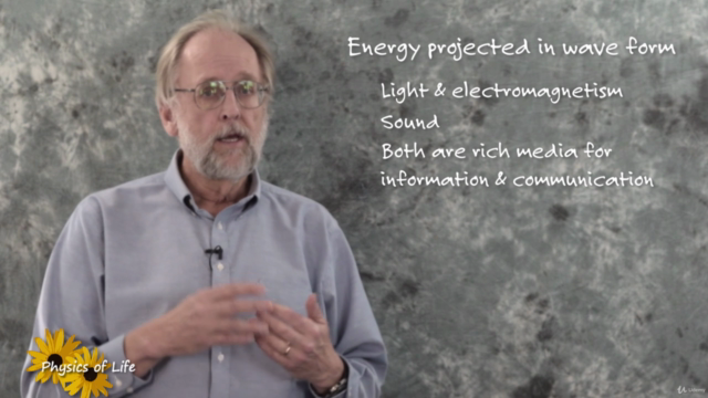 Physics of Life 4. Wave phenomena – Screenshot 3
