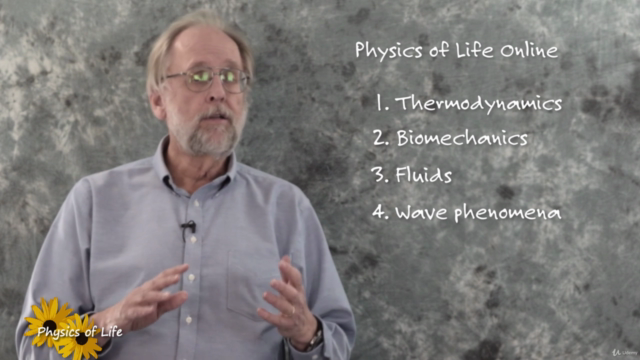 Physics of Life 4. Wave phenomena – Screenshot 4