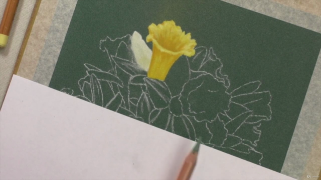 How To Draw Flowers Vol 1 - Roses, Tulips & Daffodils – Screenshot 3