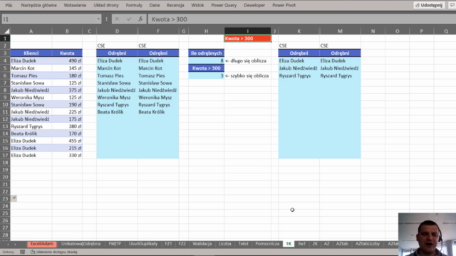 Unikatowy Excel i Power Query. – Screenshot 1