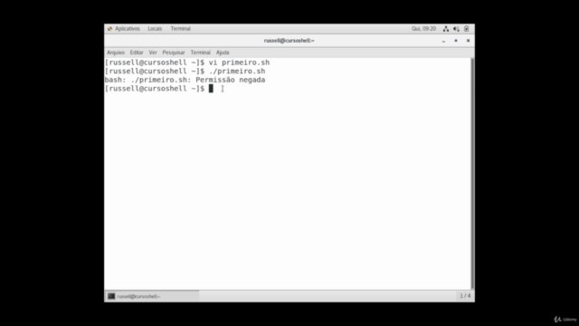 Conceitos de Programação em Shell Script (Curso Gratuito) - Screenshot_02