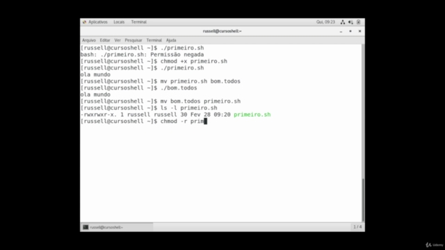 Conceitos de Programação em Shell Script (Curso Gratuito) - Screenshot_04