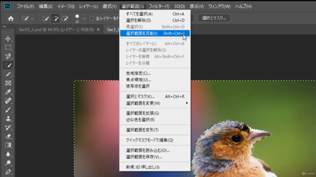 Photoshop 集中マスターコース どんなものでも切り抜く「選択範囲」テクニックを身につけよう – Screenshot 1