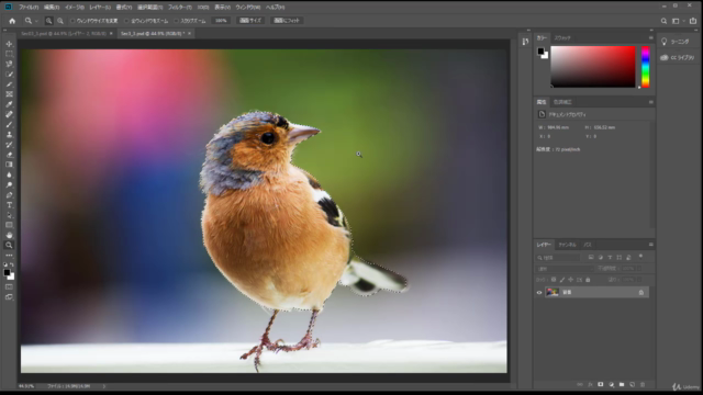 Photoshop 集中マスターコース どんなものでも切り抜く「選択範囲」テクニックを身につけよう – Screenshot 4