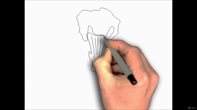 SÜREKLİ GELİŞİM NASIL OLUR? – Screenshot 4