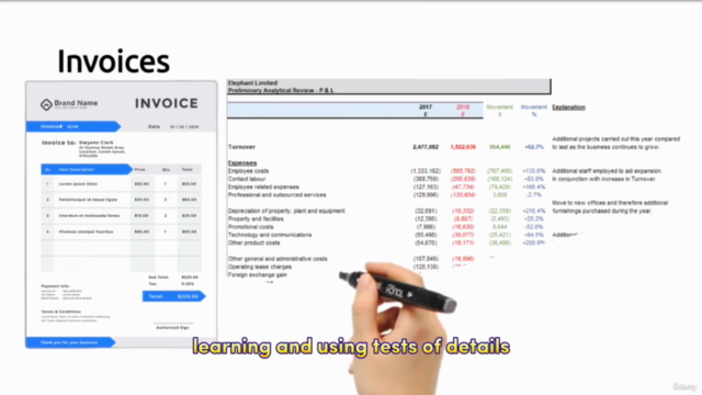 Become an External Auditor - External Audit Process Level 1 – Screenshot 2