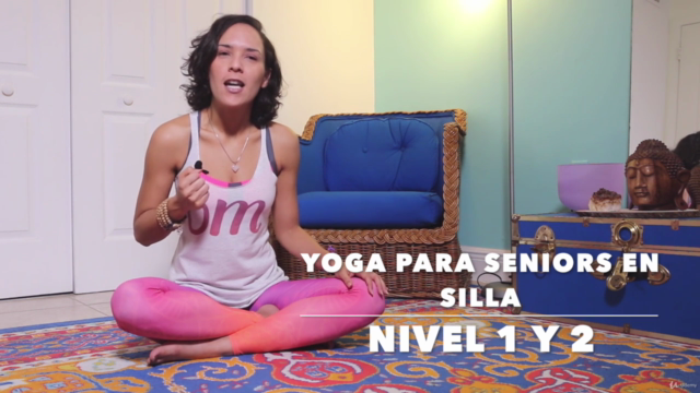 Nivel 1 y 2 del Diploma Máster Yoga en Silla con Meditación - Screenshot_01