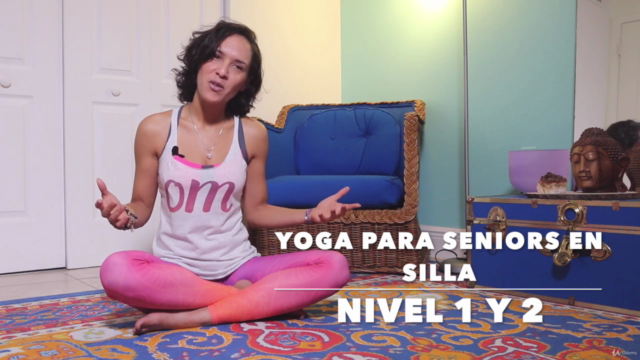 Nivel 1 y 2 del Diploma Máster Yoga en Silla con Meditación - Screenshot_02