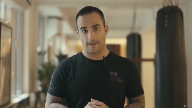 Mindful Wing Chun Online - Ip Man Lineage – Screenshot 1