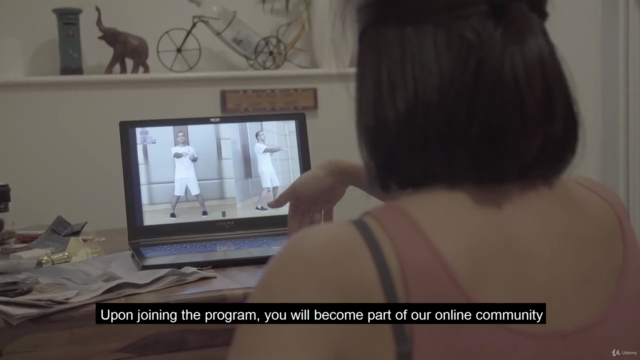 Mindful Wing Chun Online - Ip Man Lineage – Screenshot 3