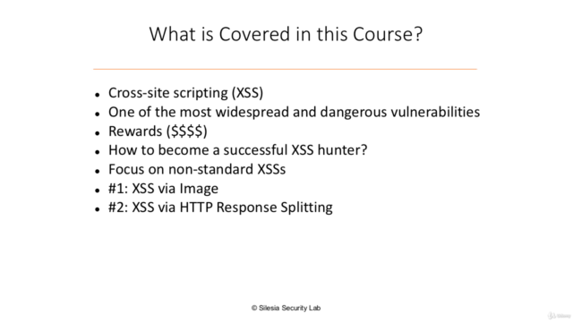 Case Studies of Award-Winning XSS Attacks: Part 1 – Screenshot 2