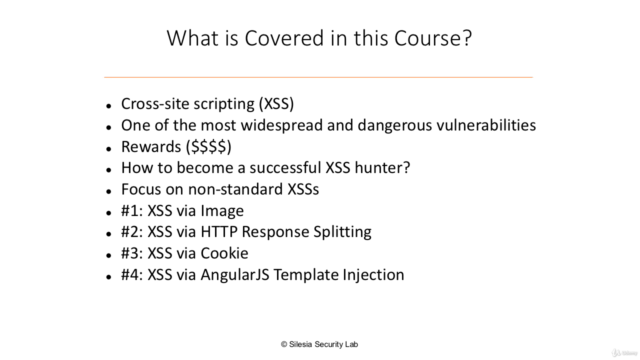 Case Studies of Award-Winning XSS Attacks: Part 1 – Screenshot 3