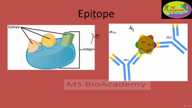 Biotechnology:Understand The Immunology Basics to Gene Level – Screenshot 2