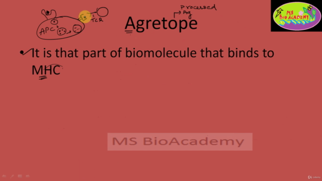 Biotechnology:Understand The Immunology Basics to Gene Level – Screenshot 3