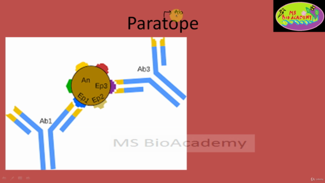 Biotechnology:Understand The Immunology Basics to Gene Level – Screenshot 4