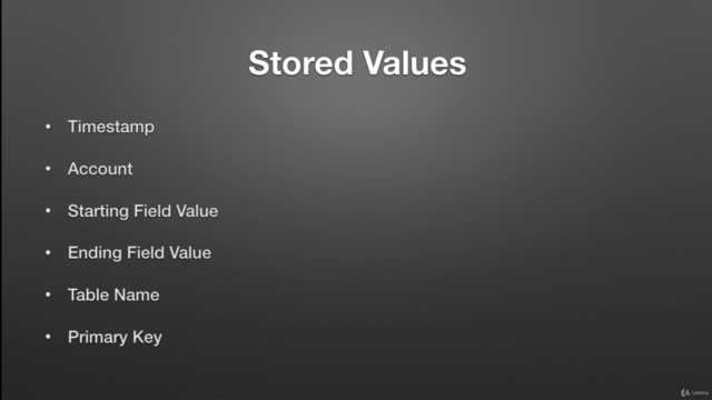 FileMaker Audit Log – Screenshot 4