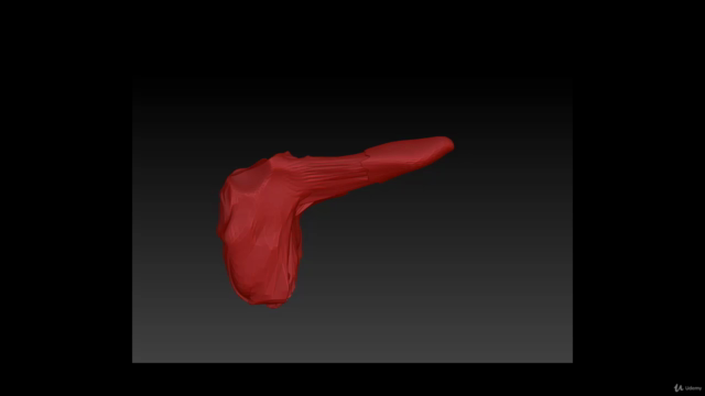El Hígado y Páncreas: Anatomía y Fisiología - Screenshot_01