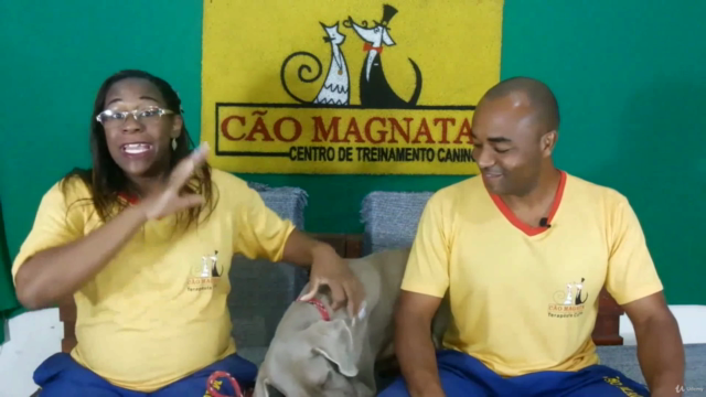 Adestramento de Cães (dog trainer,Dog Behavior,Pet Business) – Screenshot 2
