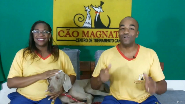 Adestramento de Cães (dog trainer,Dog Behavior,Pet Business) – Screenshot 4