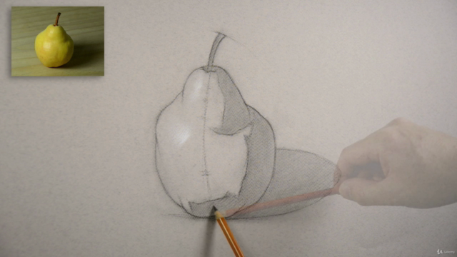 Drawing Lesson For Beginners – Screenshot 4