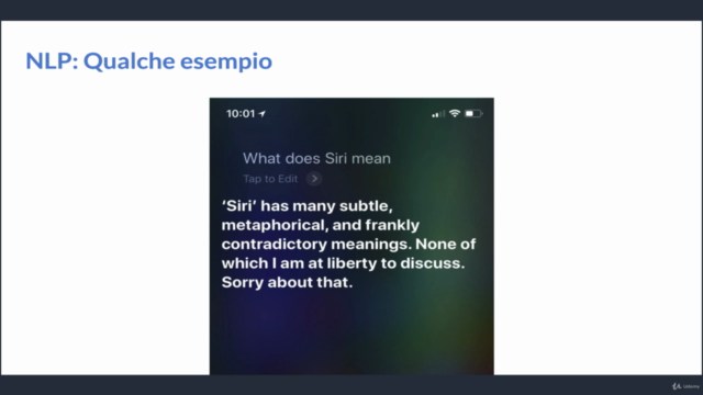 Natural Language Processing con Python: il Corso Completo – Screenshot 2