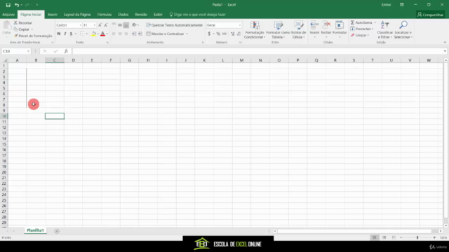 Excel para o Mercado de Trabalho – Screenshot 3