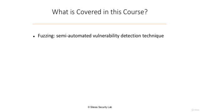 DOUBLE Your Web Hacking Rewards with Fuzzing – Screenshot 1