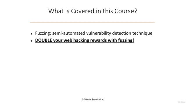 DOUBLE Your Web Hacking Rewards with Fuzzing – Screenshot 2