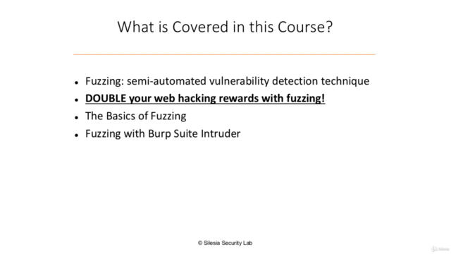 DOUBLE Your Web Hacking Rewards with Fuzzing – Screenshot 3