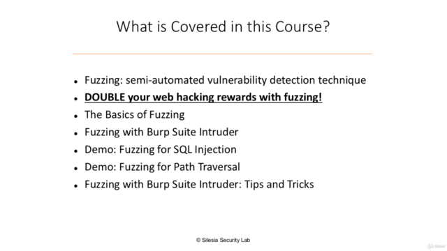 DOUBLE Your Web Hacking Rewards with Fuzzing – Screenshot 4