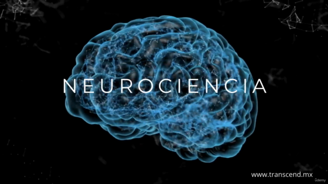 [RECOMENDADO] Transcend: La Neurociencia de Tu Potencial – Screenshot 1