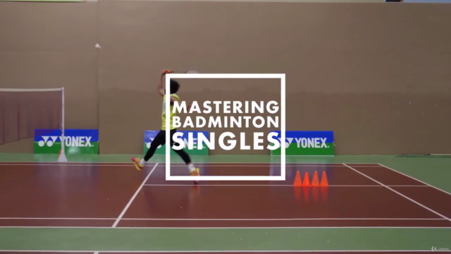 Mastering Badminton Vol. 1 - Singles – Screenshot 3