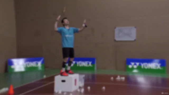 Mastering Badminton Vol. 1 - Singles – Screenshot 4