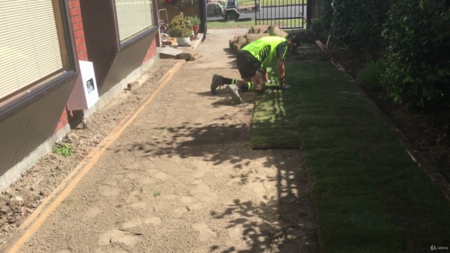 A beginners course on how to create and care for lawns. – Screenshot 1