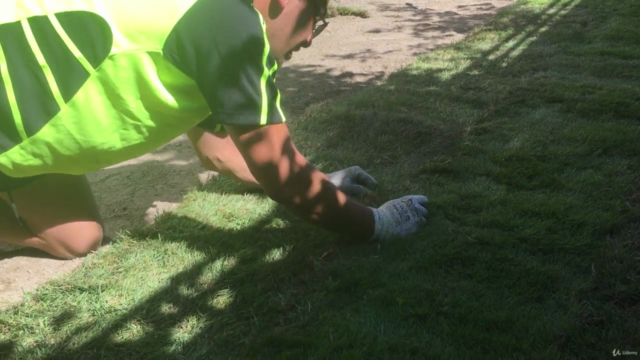 A beginners course on how to create and care for lawns. – Screenshot 2