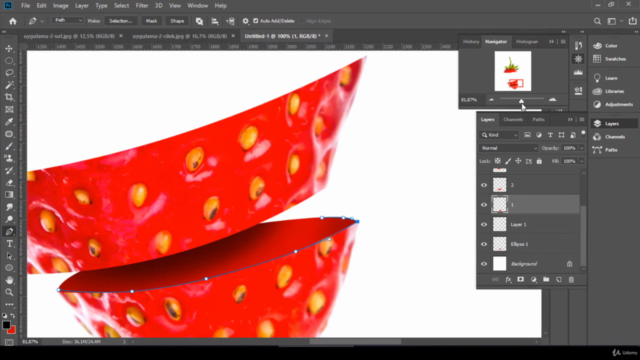 Adobe Photoshop CC 2019'u Temelden İleri Seviyeye Öğrenin! - Screenshot_03