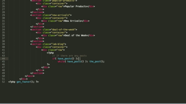 WooCommerce Theme Development: Advanced Course – Screenshot 3