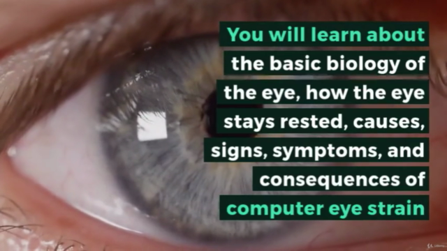 Computer Eye Strain: A Holistic Solution – Screenshot 2