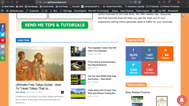 Wordpress For Beginners - Create A Pro Site Fast and Easy – Screenshot 1