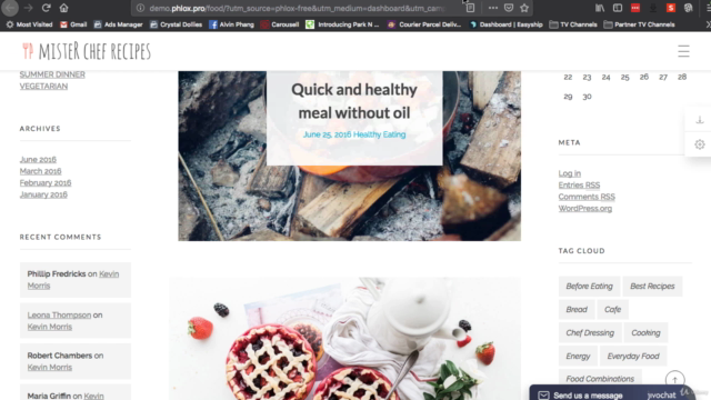 Wordpress For Beginners - Create A Pro Site Fast and Easy – Screenshot 4