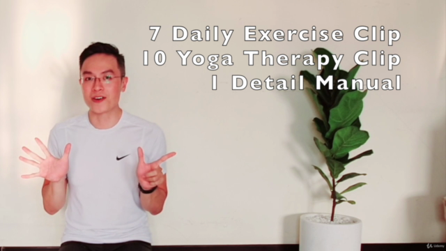 The Ultimate Yoga Course: Shoulder, Neck & Back Pain Relief – Screenshot 3