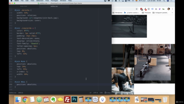 Diseñador Web Profesional. De Intermedio a Experto – Screenshot 1