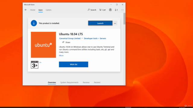UBUNTU Linux Server – Screenshot 1