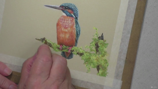 How to Draw Birds Vol 1 - Parrot, Kingfisher, Robin & Owl – Screenshot 2